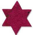 Star of David Plant-A-Shape Bookmark